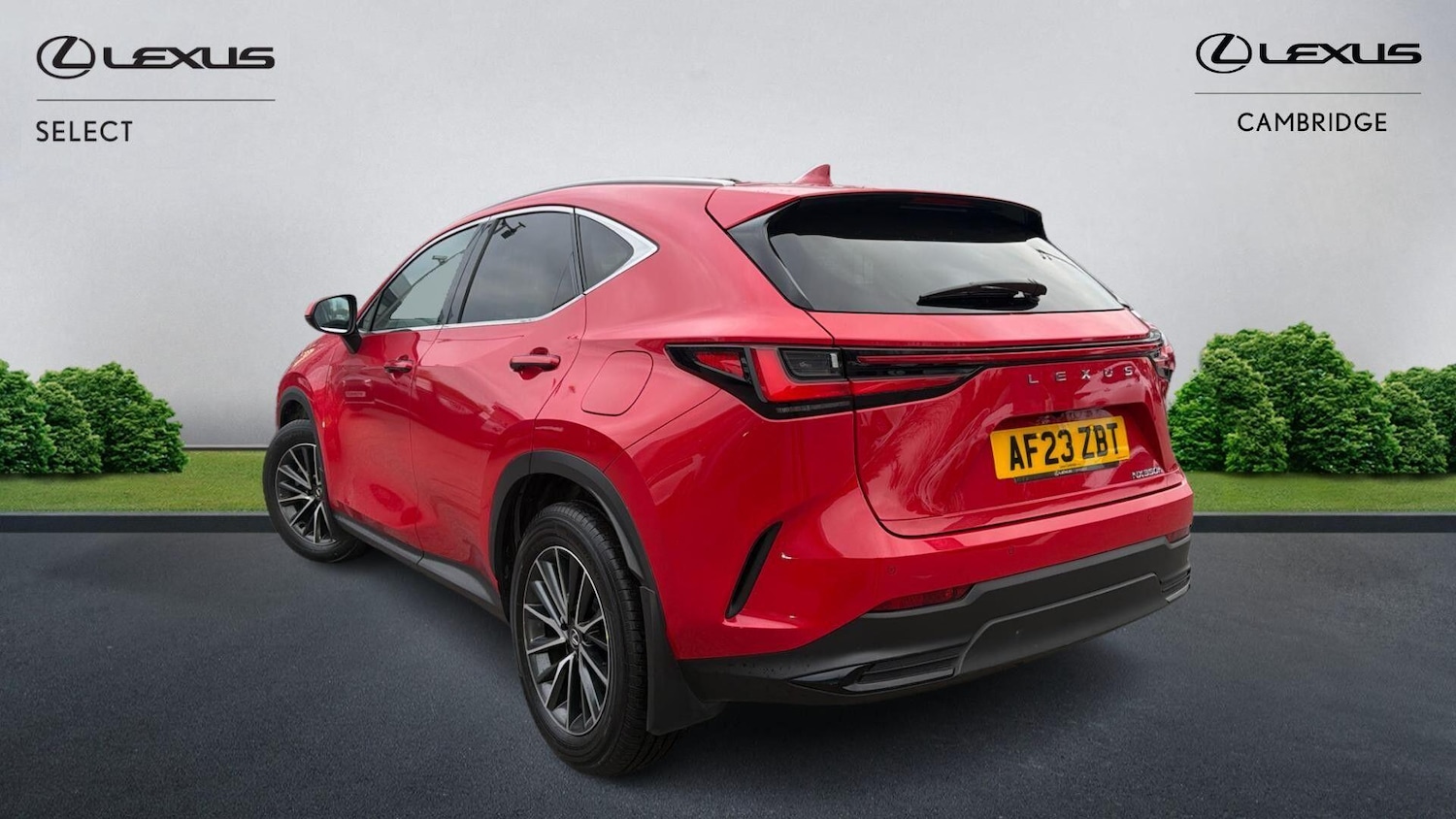 Used Lexus NX 2023 for sale - 77066392: Photo 2
