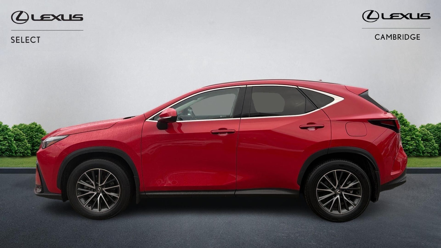 Used Lexus NX 2023 for sale - 77066392: Photo 3