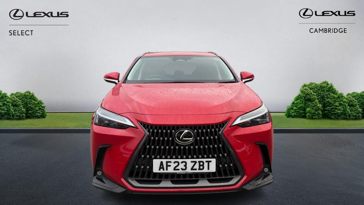 Used Lexus NX 2023 for sale - 77066392: Photo 7