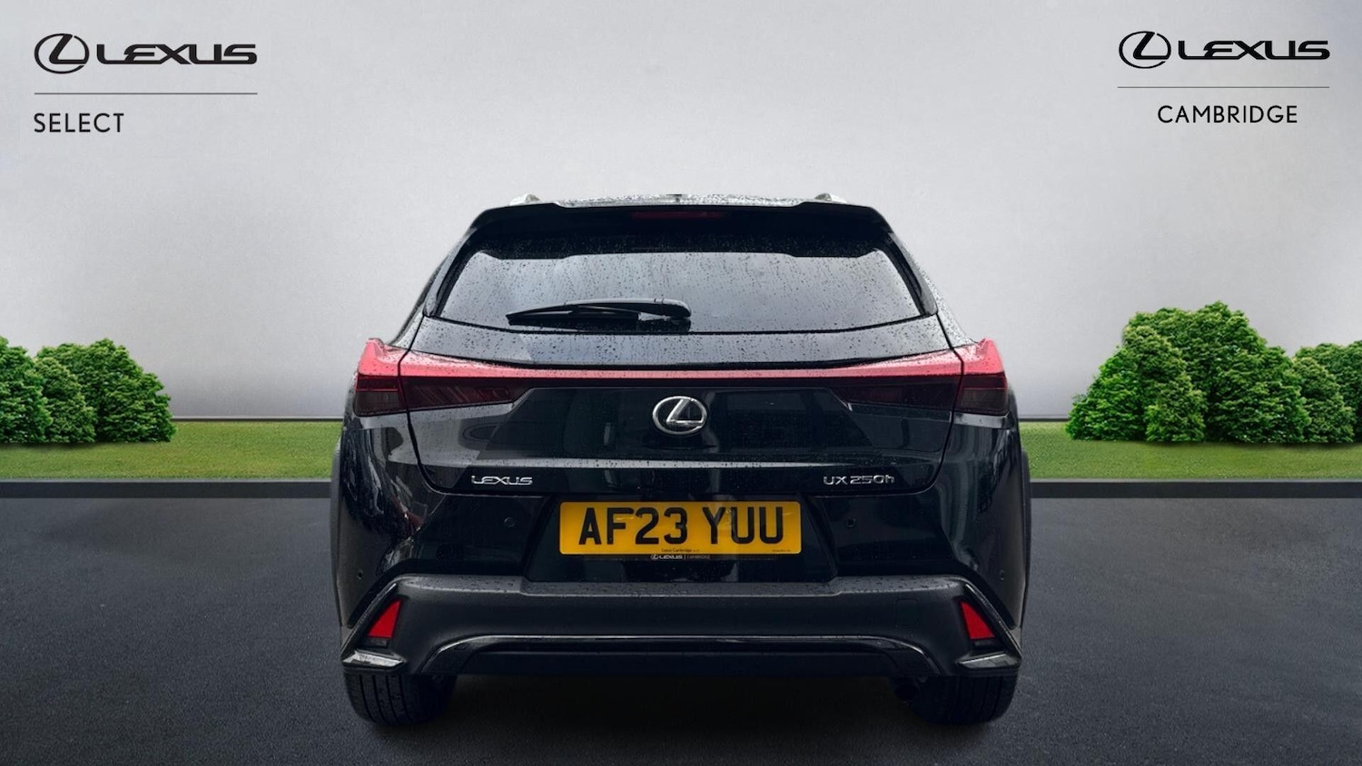 Used Lexus UX 2023 for sale - 78100489: Photo 6