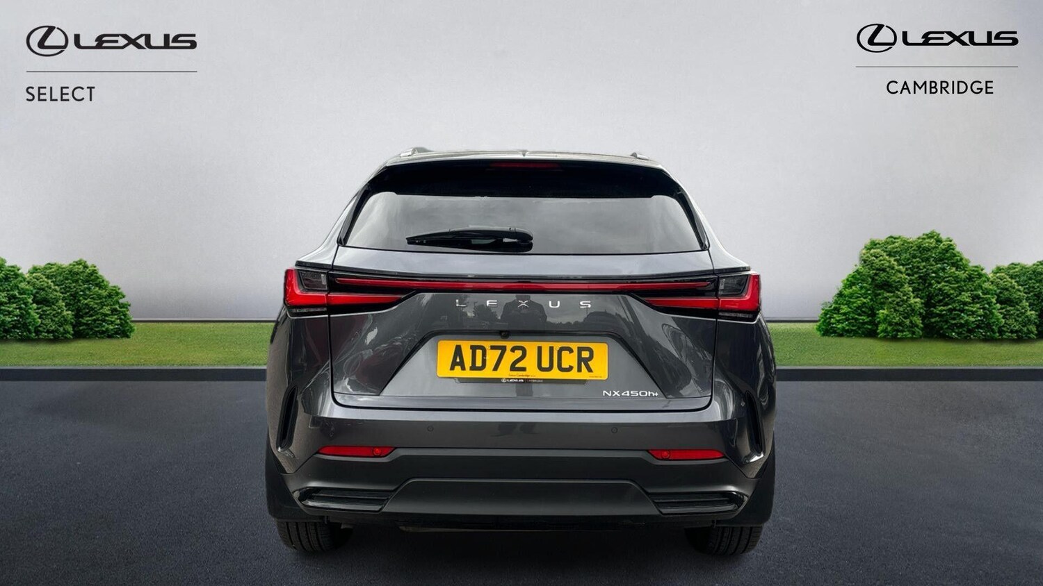 Used Lexus NX 2022 for sale - 75883885: Photo 8