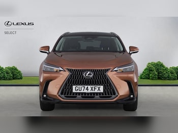 Used Lexus NX 2024 for sale - 79188645: Photo