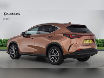 Used Lexus NX 2024 for sale - 79188645: Photo