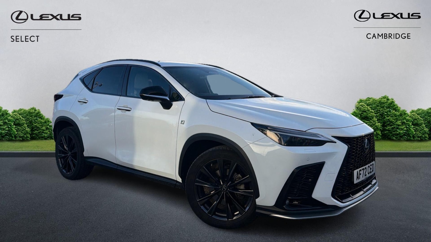 Used Lexus NX 2022 for sale - 76446909: Photo 1