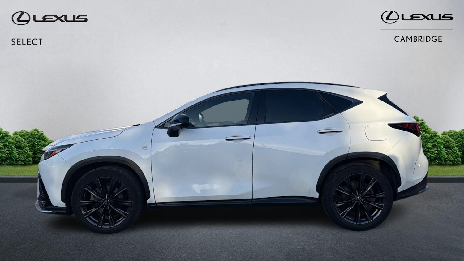 Used Lexus NX 2022 for sale - 76446909: Photo 3
