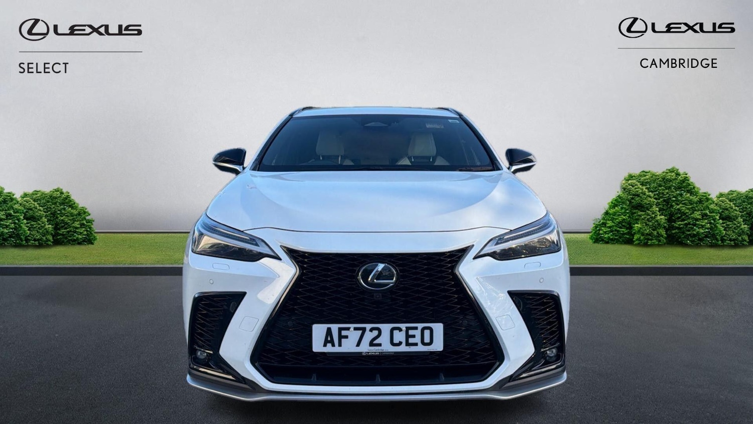 Used Lexus NX 2022 for sale - 76446909: Photo 8