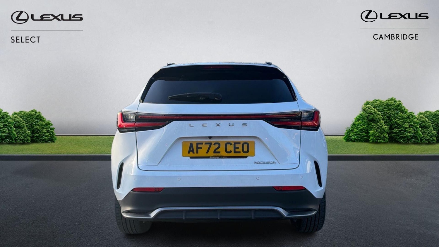 Used Lexus NX 2022 for sale - 76446909: Photo 9