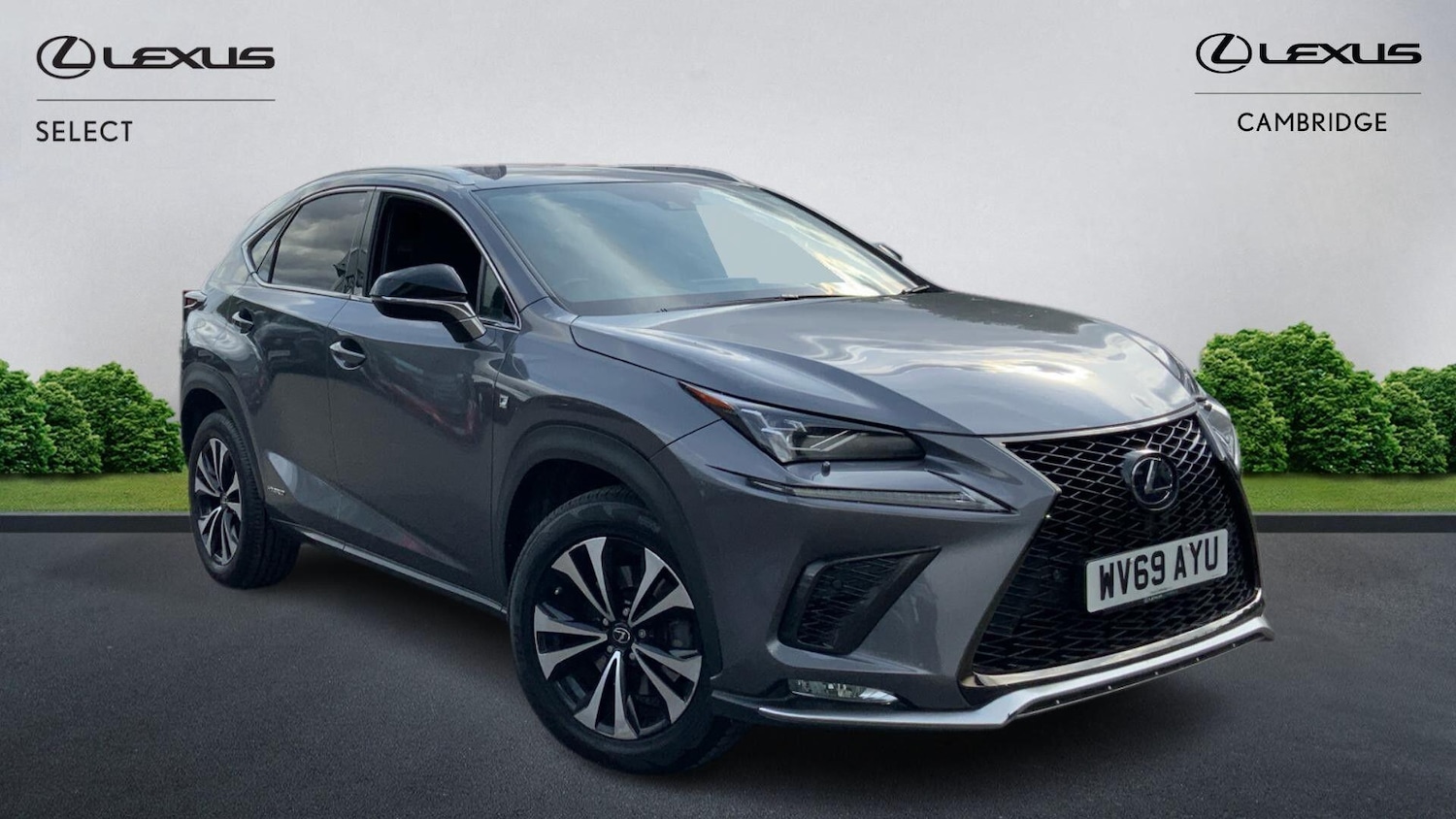 Used Lexus NX 2019 for sale - 76251055: Photo 1