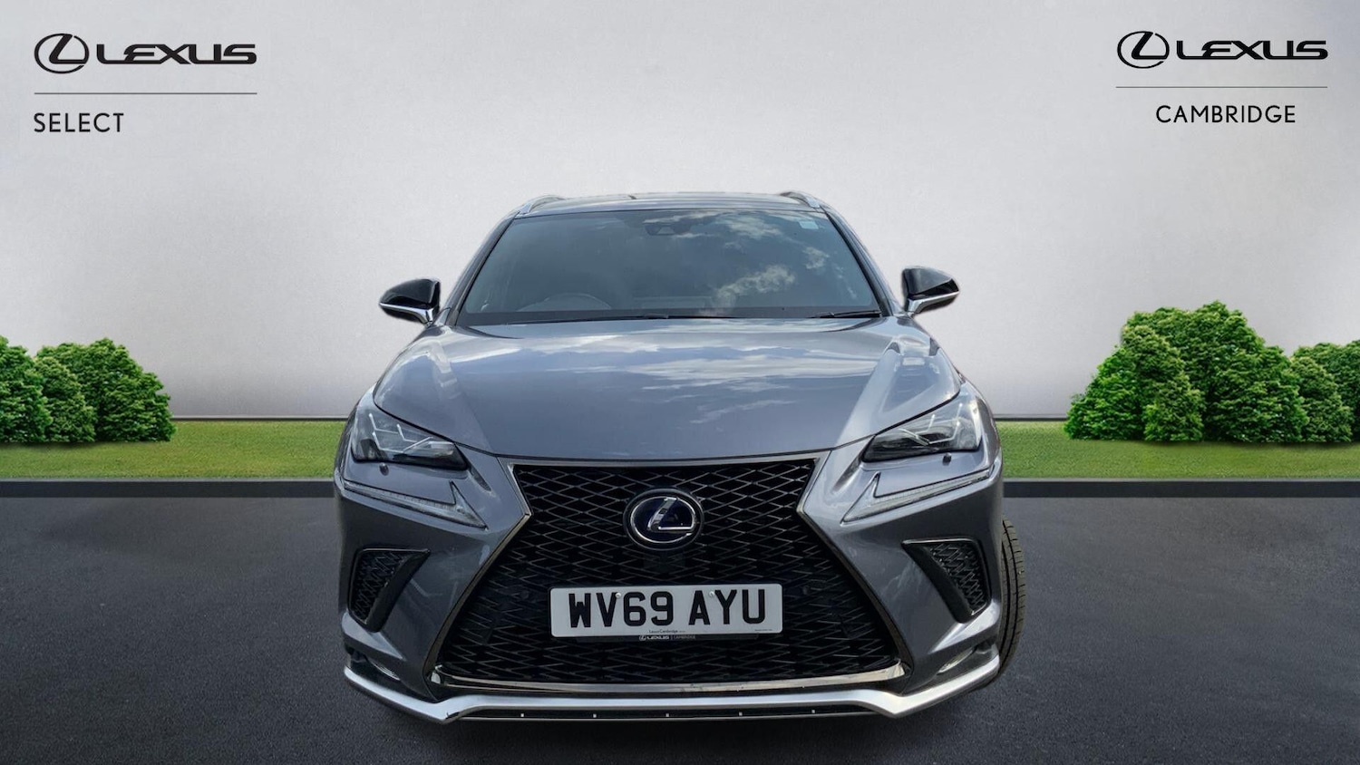 Used Lexus NX 2019 for sale - 76251055: Photo 2