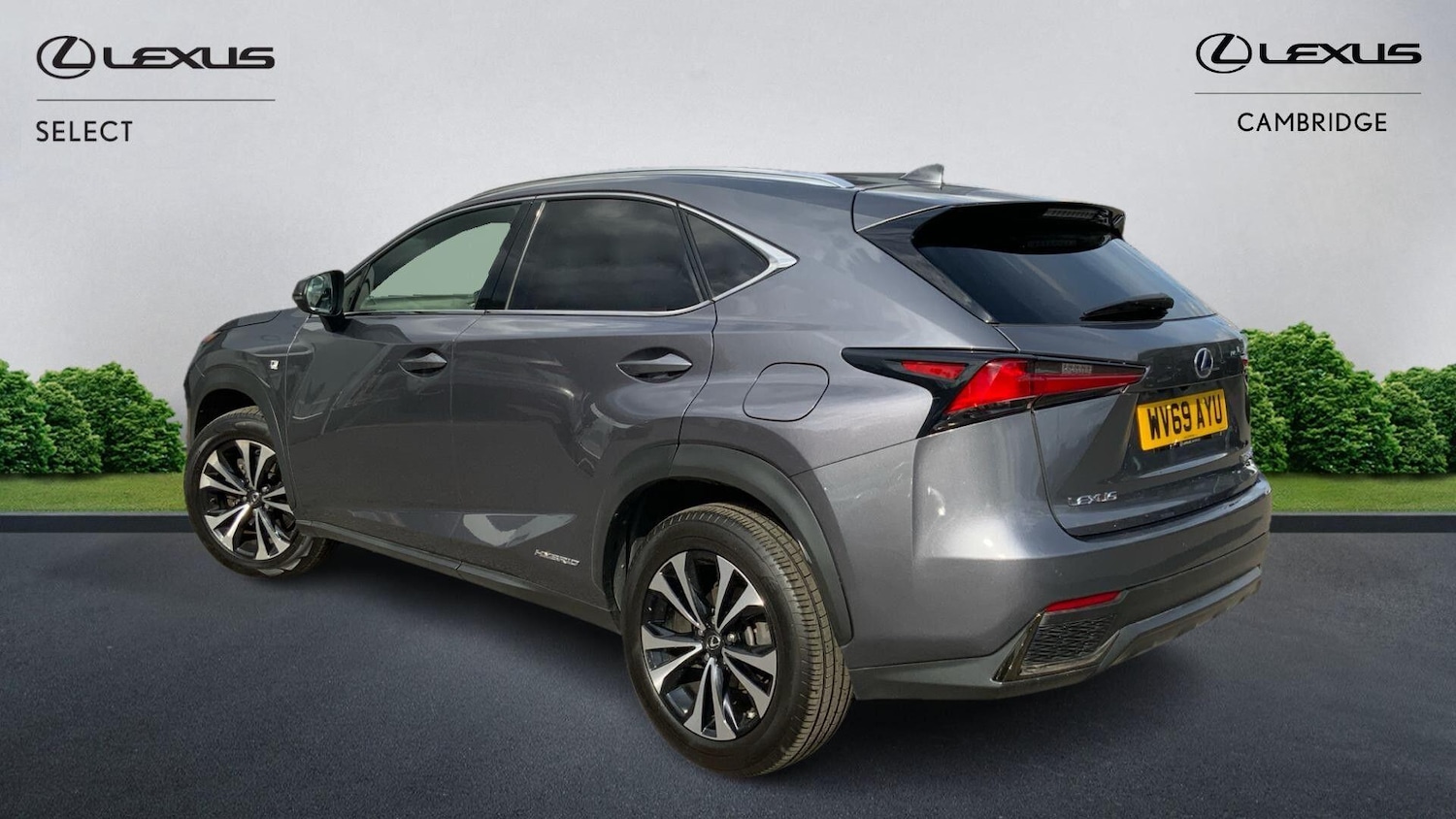 Used Lexus NX 2019 for sale - 76251055: Photo 3
