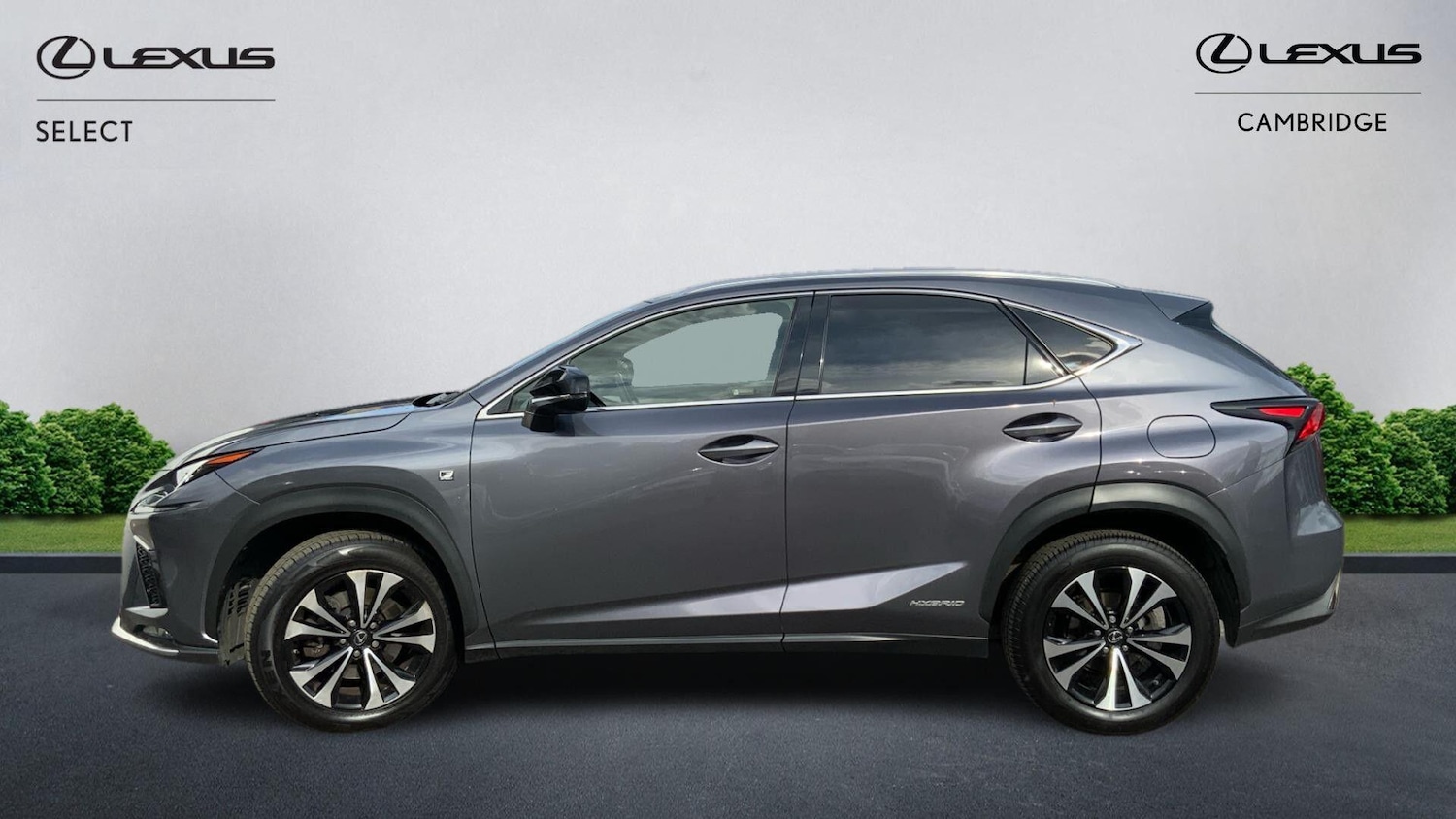 Used Lexus NX 2019 for sale - 76251055: Photo 4