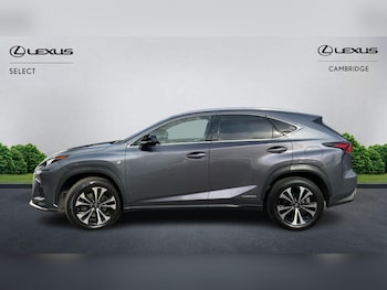 Used Lexus NX 2019 for sale - 76251055: Photo 4