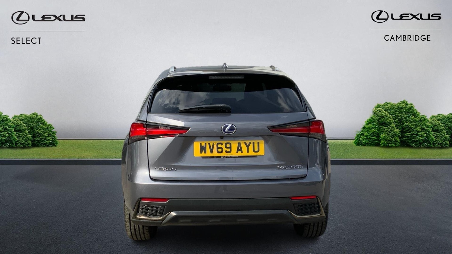 Used Lexus NX 2019 for sale - 76251055: Photo 8