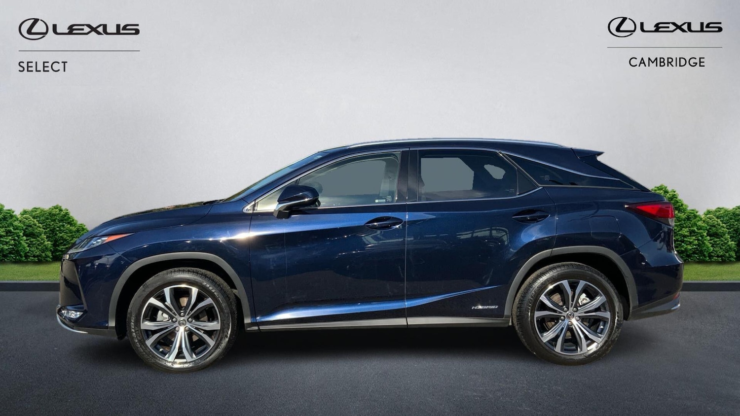 Used Lexus RX 2022 for sale - 76099442: Photo 4