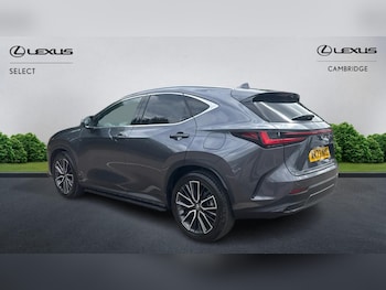 Used Lexus NX 2023 for sale - 78741894: Photo