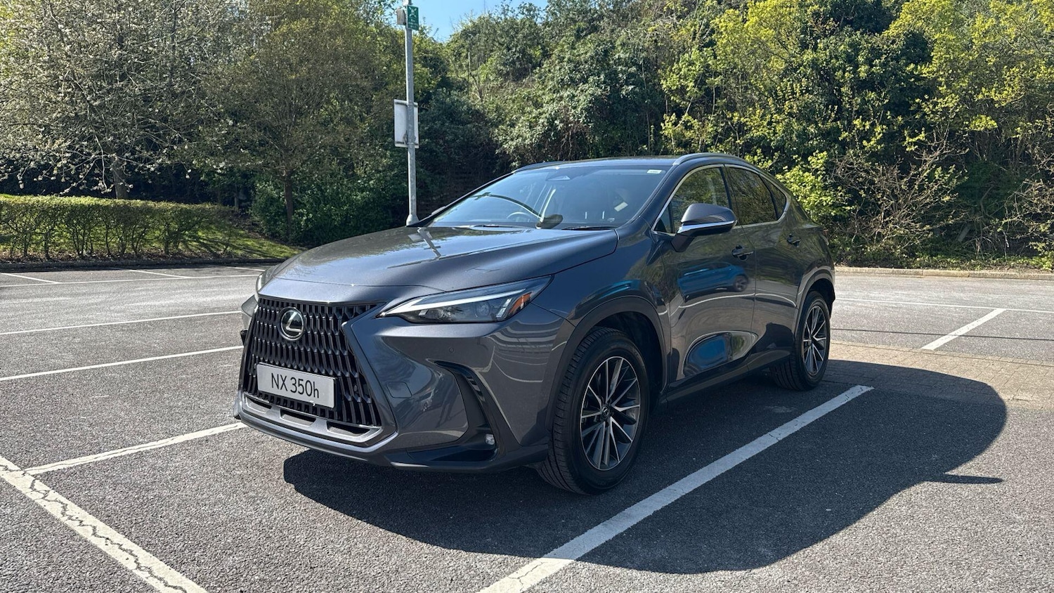 Used Lexus NX 2025 for sale - 78184199: Photo 10