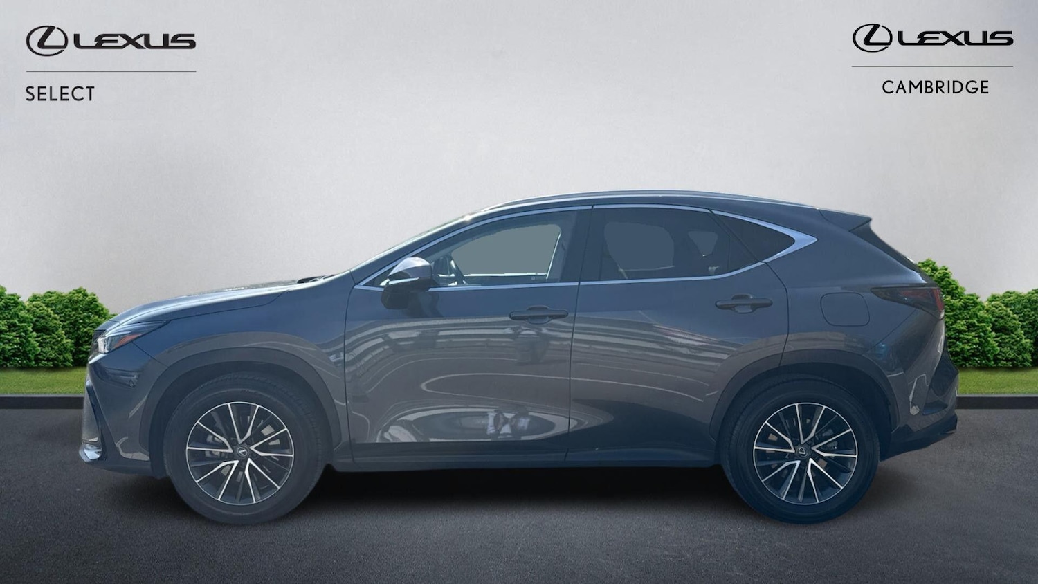 Used Lexus NX 2025 for sale - 78184199: Photo 2