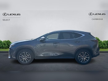 Used Lexus NX 2025 for sale - 78184199: Photo