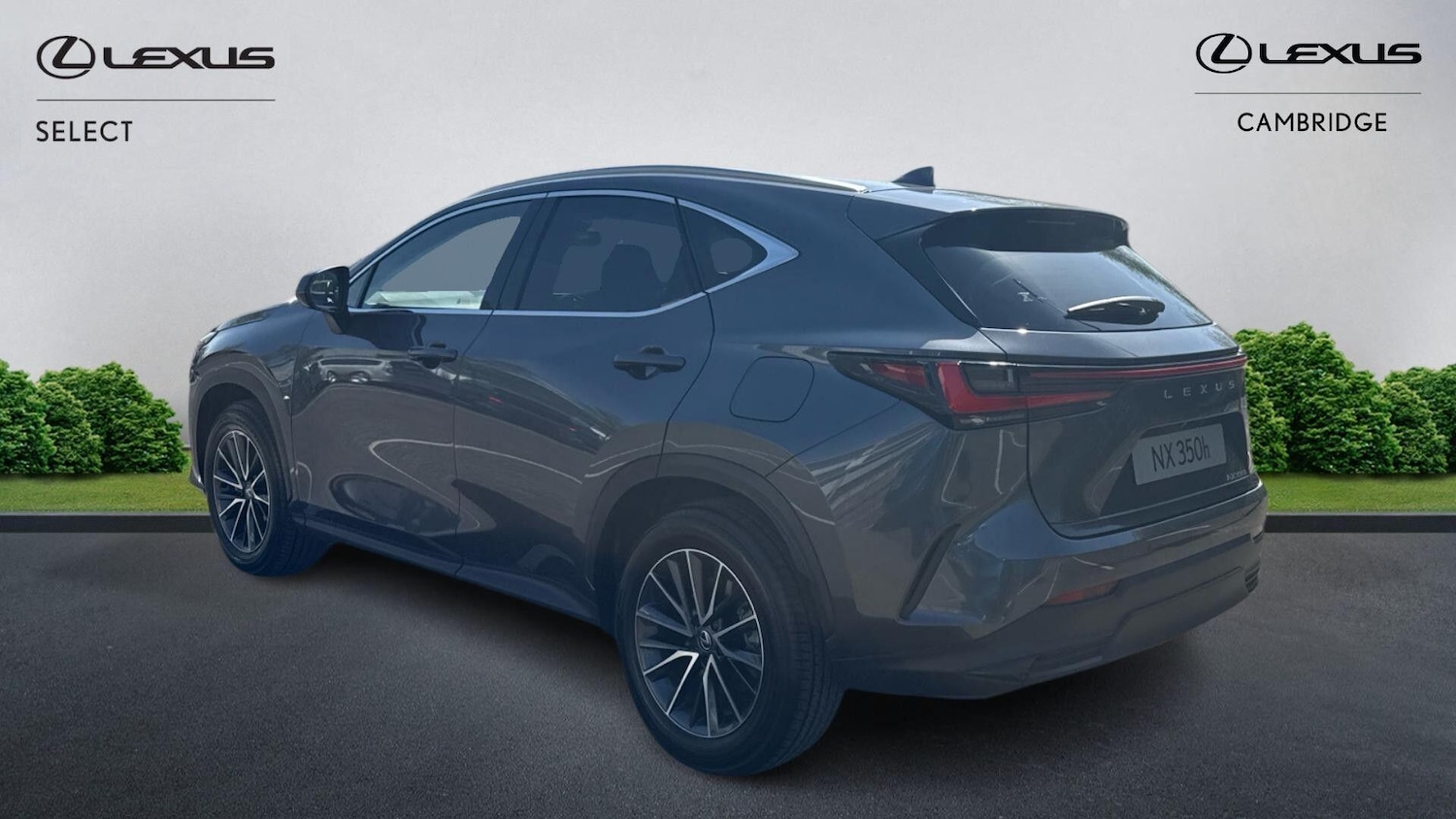 Used Lexus NX 2025 for sale - 78184199: Photo 3