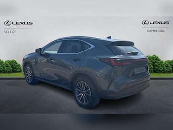 Used Lexus NX 2025 for sale - 78184199: Photo