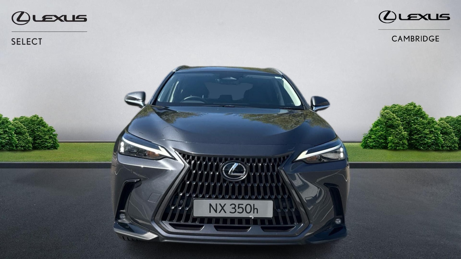 Used Lexus NX 2025 for sale - 78184199: Photo 7