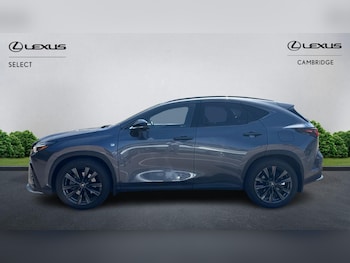 Used Lexus NX 2024 for sale - 79158433: Photo