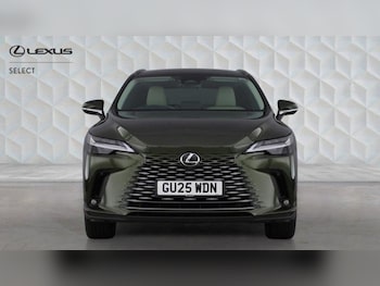 Used Lexus RX 2025 for sale - 79295987: Photo