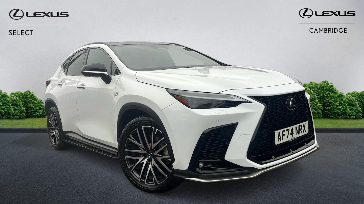 Used Lexus NX 2024 for sale - 76743432: Photo 1