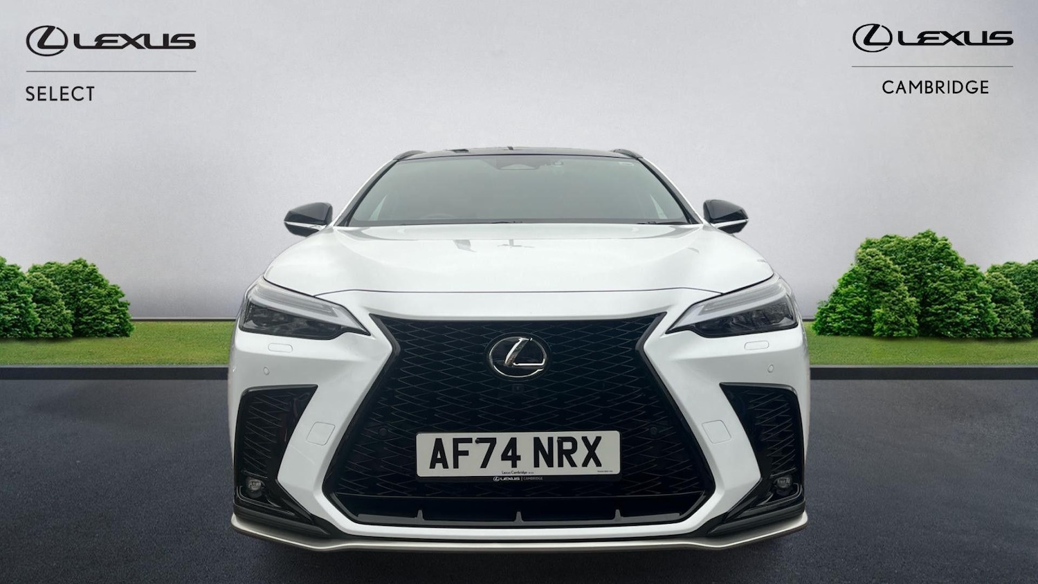 Used Lexus NX 2024 for sale - 76743432: Photo 2