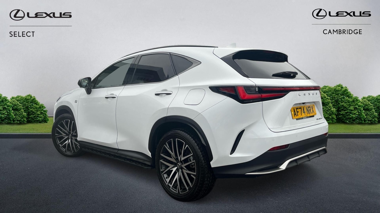 Used Lexus NX 2024 for sale - 76743432: Photo 3