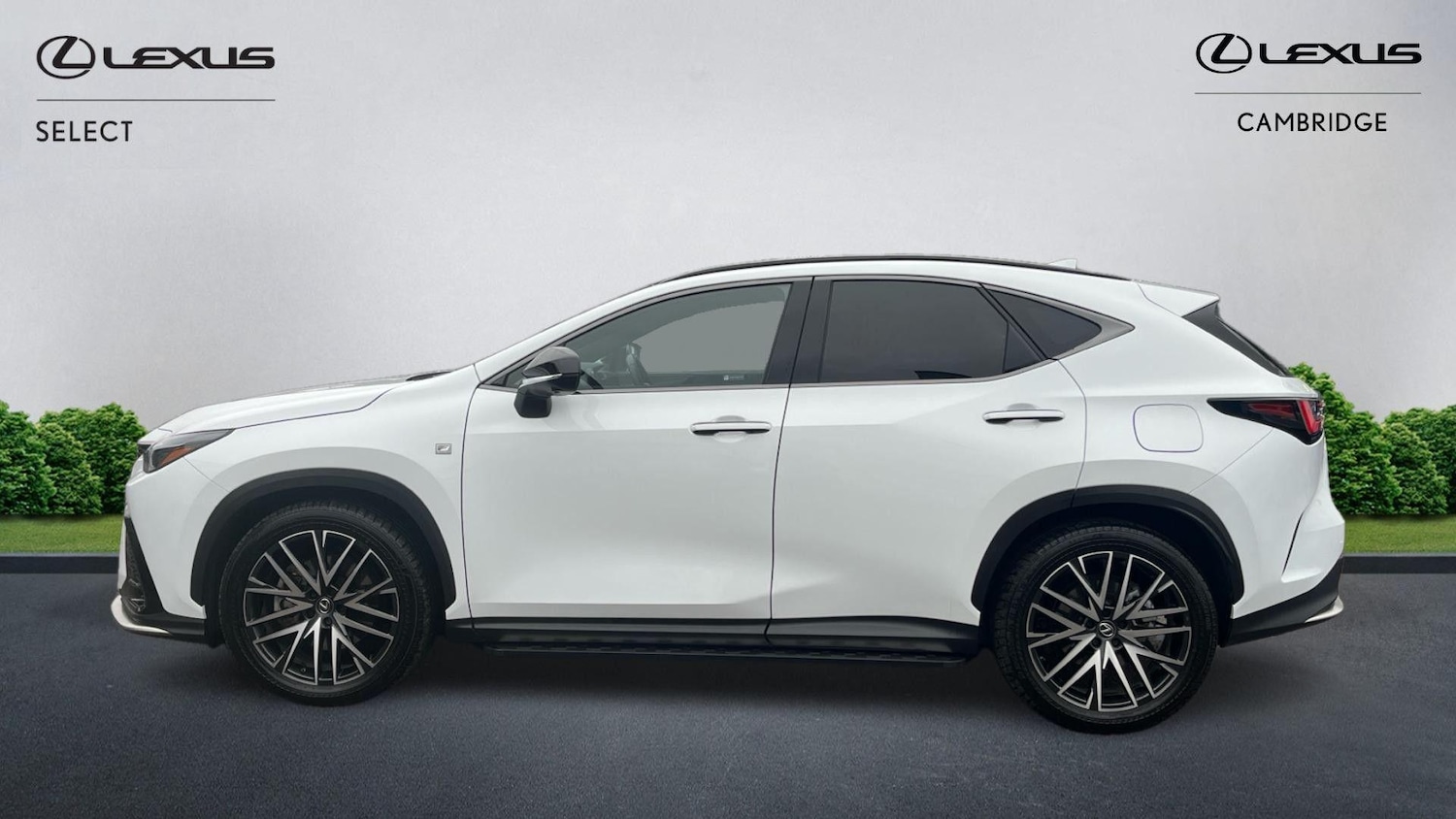 Used Lexus NX 2024 for sale - 76743432: Photo 4