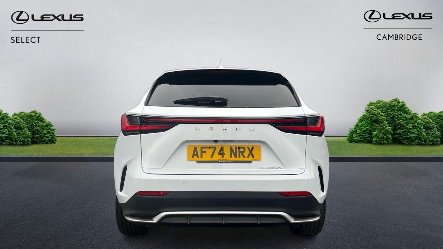 Used Lexus NX 2024 for sale - 76743432: Photo 9