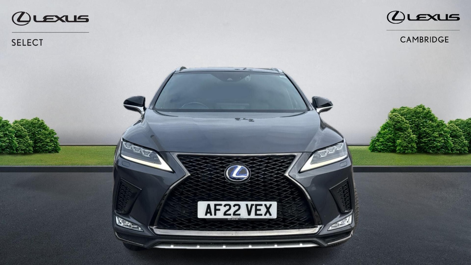 Used Lexus RX 2022 for sale - 76380944: Photo 7