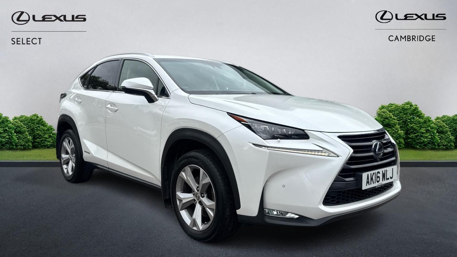 Used Lexus NX 2016 for sale - 76326199: Photo 1