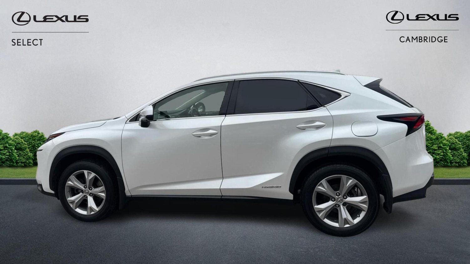 Used Lexus NX 2016 for sale - 76326199: Photo 3