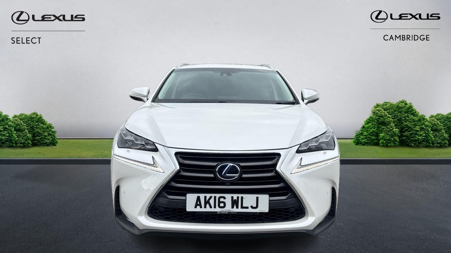 Used Lexus NX 2016 for sale - 76326199: Photo 7