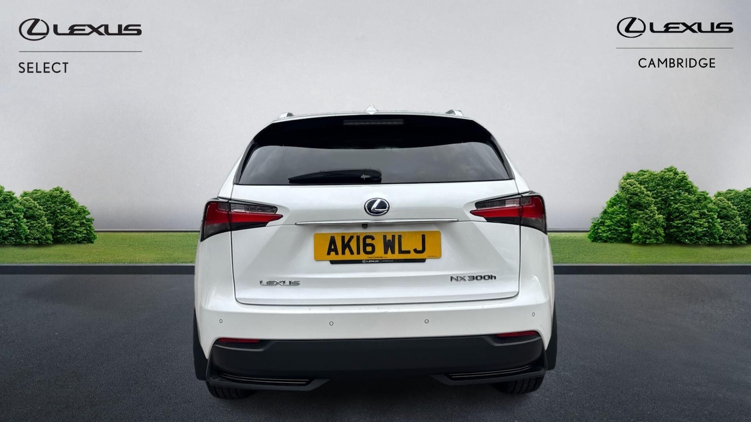 Used Lexus NX 2016 for sale - 76326199: Photo 8