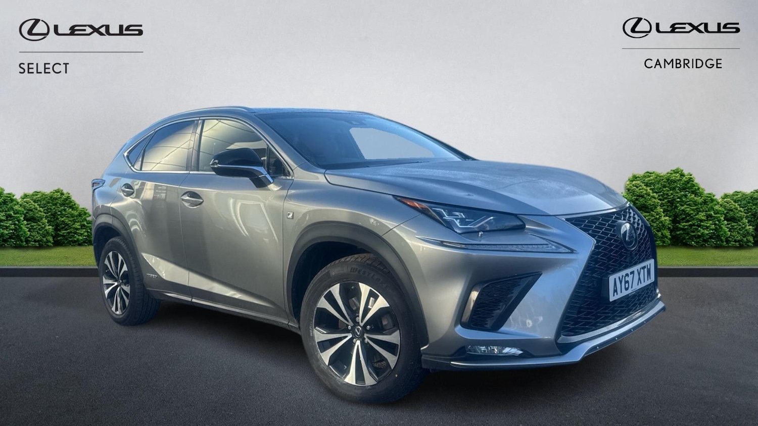 Used Lexus NX 2018 for sale - 77793895: Photo 1