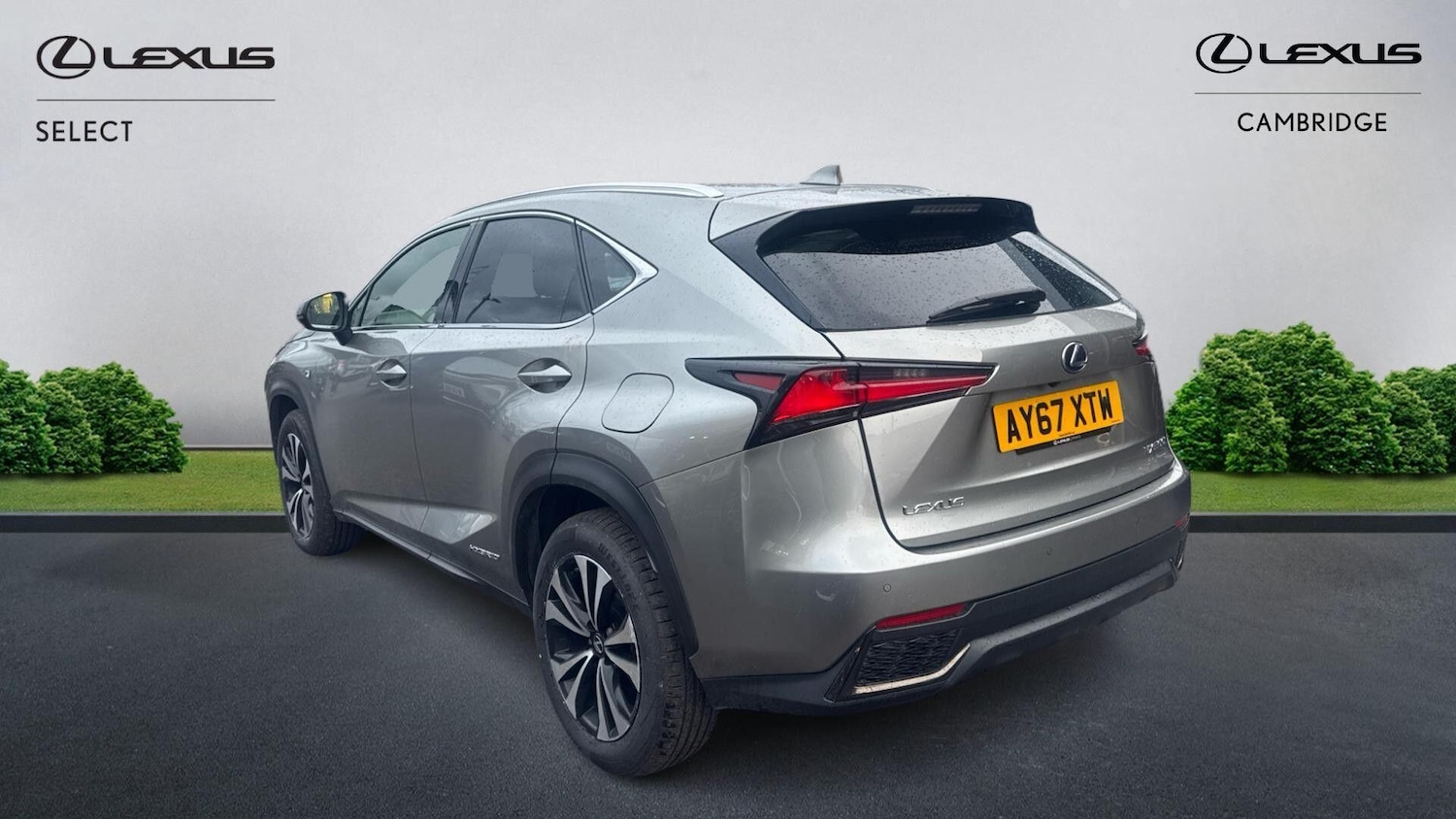 Used Lexus NX 2018 for sale - 77793895: Photo 3