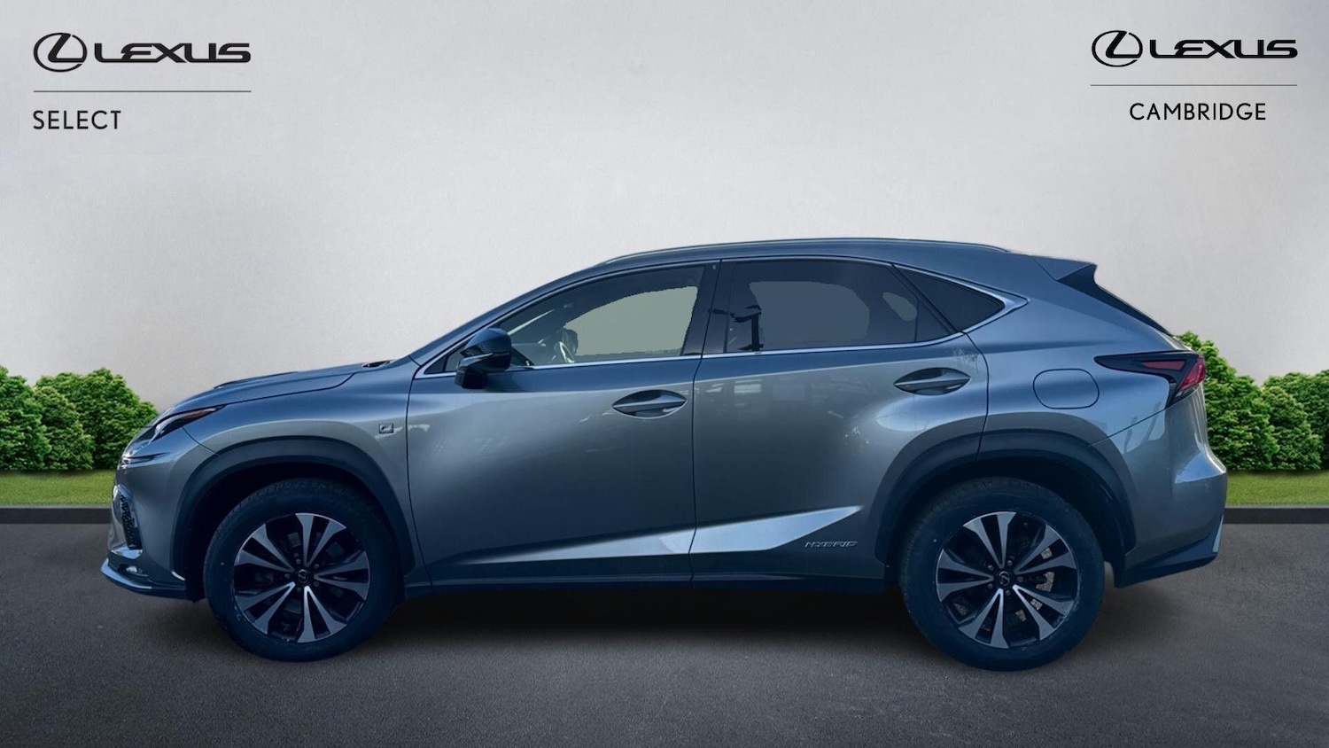 Used Lexus NX 2018 for sale - 77793895: Photo 4