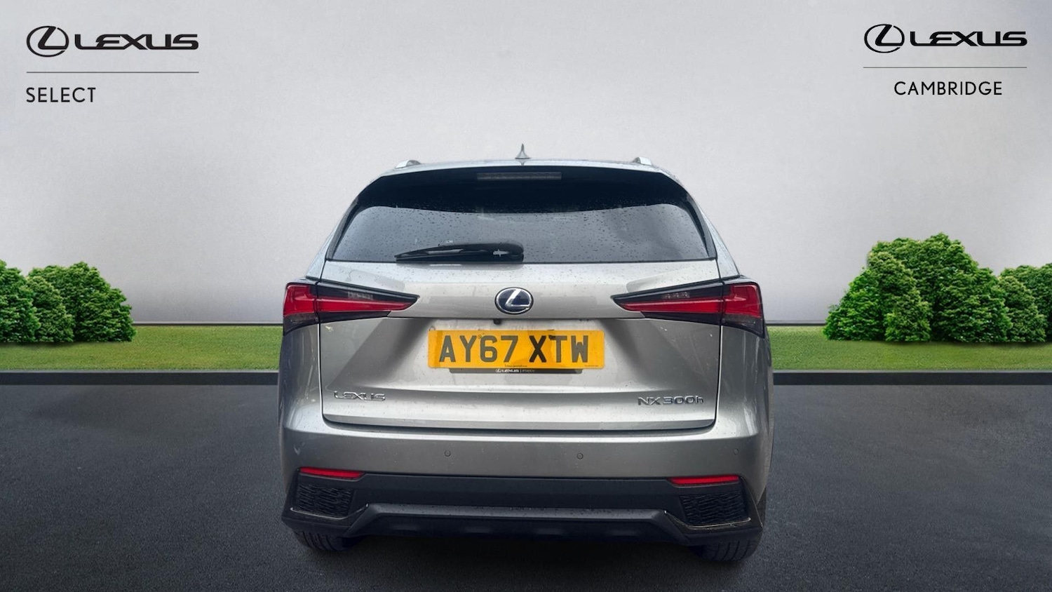 Used Lexus NX 2018 for sale - 77793895: Photo 6