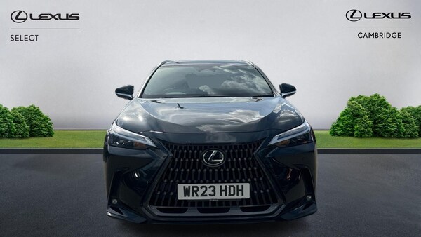 Used Lexus NX 2023 for sale - 75589866: Photo 2