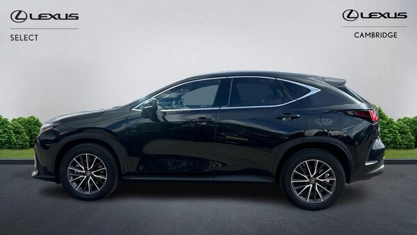 Used Lexus NX 2023 for sale - 75589866: Photo 4