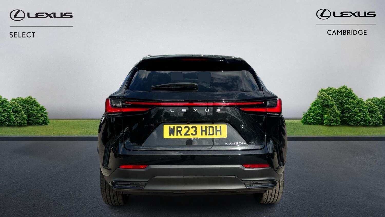 Used Lexus NX 2023 for sale - 75589866: Photo 8