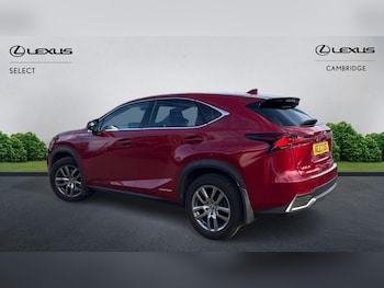 Used Lexus NX 2020 for sale - 75415632: Photo