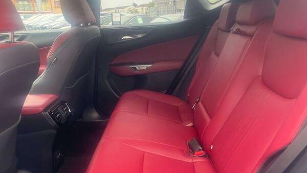 Used Lexus NX 2023 for sale - 76179448: Photo 18