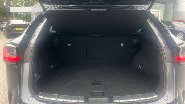 Used Lexus NX 2023 for sale - 76179448: Photo 19