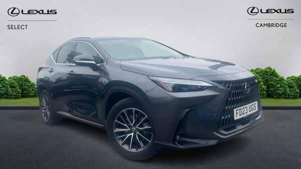 Used Lexus NX 2023 for sale - 76179448: Photo 1
