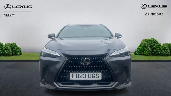 Used Lexus NX 2023 for sale - 76179448: Photo 2