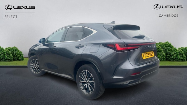Used Lexus NX 2023 for sale - 76179448: Photo 3